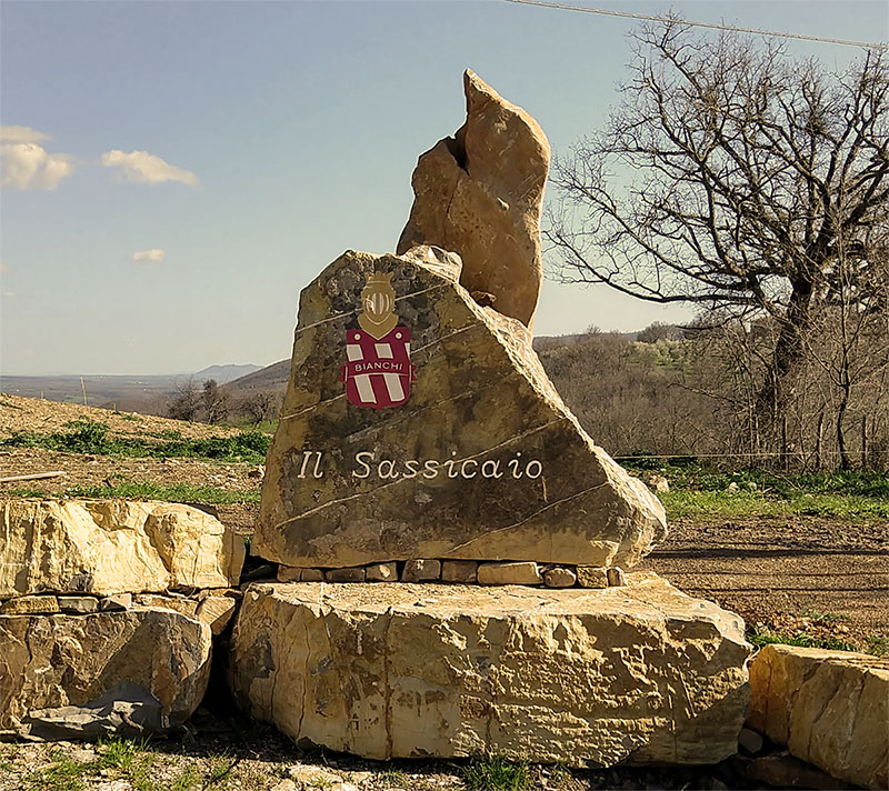 2004 - Reimpianto vigneti Bianchi Viticoltori - Espansione produzione vino Sangiovese biologico Maremma